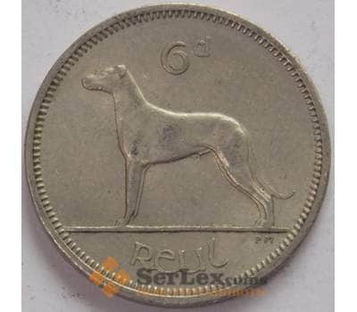 Монета Ирландия 6 пенсов 1964 КМ13a AU Собака (J05.19) арт. 17758