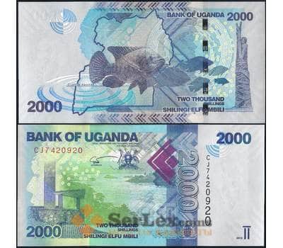 Банкнота Уганда 2000 Шиллингов 2019 Р50 UNC  арт. 22645
