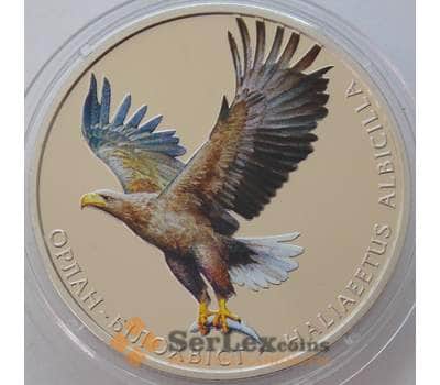 Монета Украина 2 гривны 2019 Орлан BU арт. 15059
