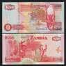 Замбия 50 квача 1992 Р37а UNC арт. 54414
