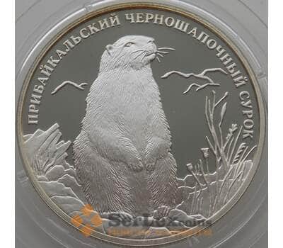 Монета Россия 2 рубля 2008 Y979 Proof Прибайкальский Сурок (АЮД) арт. 9993