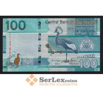Гамбия 100 даласи 2023 РW41 UNC арт. 55440