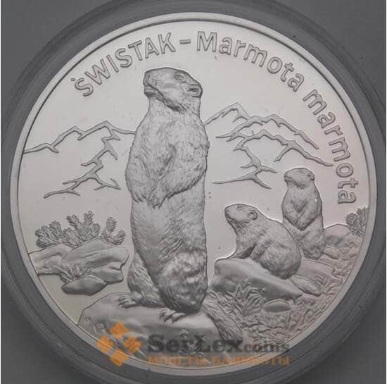 Польша 20 злотых 2006 Y536 Proof Сурок арт. 28633