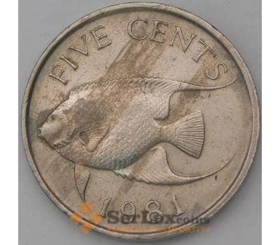 Монета Бермуды 5 центов 1981 КМ16 VF арт. 23979