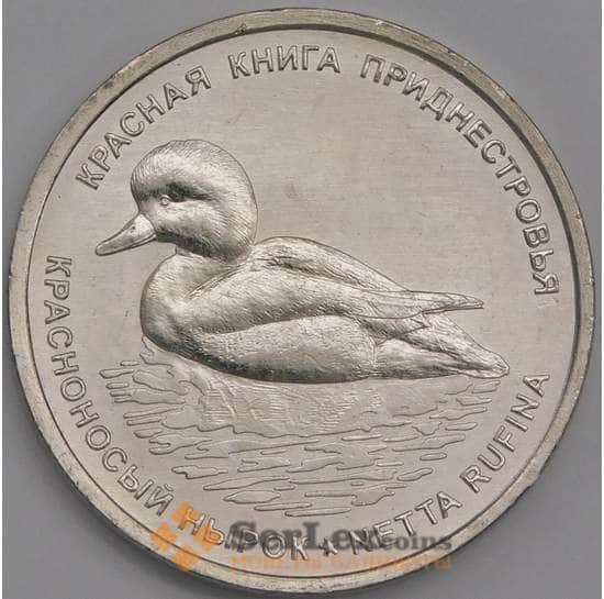 Приднестровье монета 1 рубль 2023 UNC Красноносый нырок арт. 42361