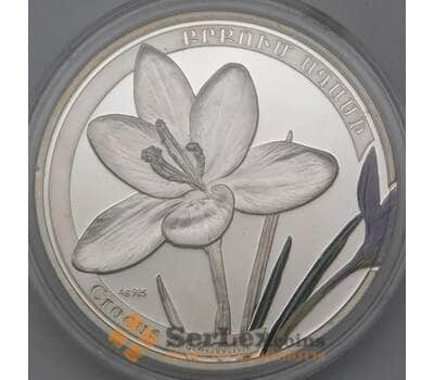 Монета Армения 1000 драм 2011 Proof Крокус Адама арт. 26086