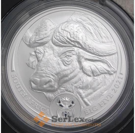 ЮАР монета 5 рэндов 2021 BU Большая пятерка - Буйвол арт. 42367