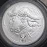 ЮАР монета 5 рэндов 2021 BU Большая пятерка - Буйвол арт. 42367